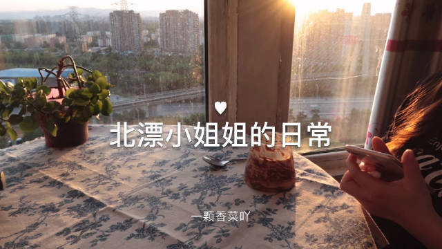 我的vlog生活